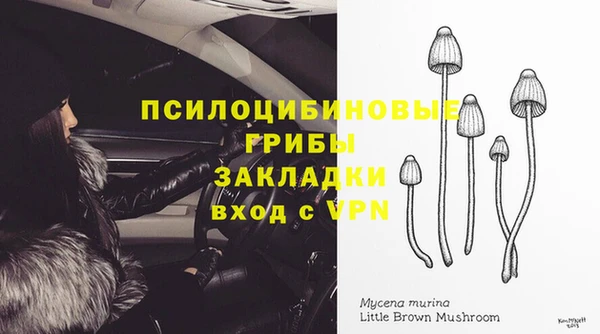 круглые Арсеньев