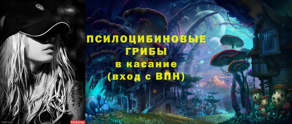 крисы Армянск