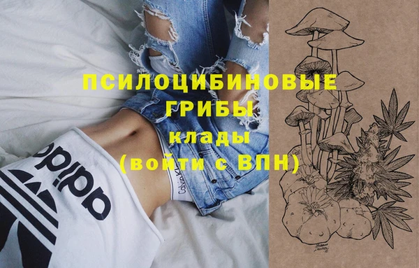 круглые Арсеньев